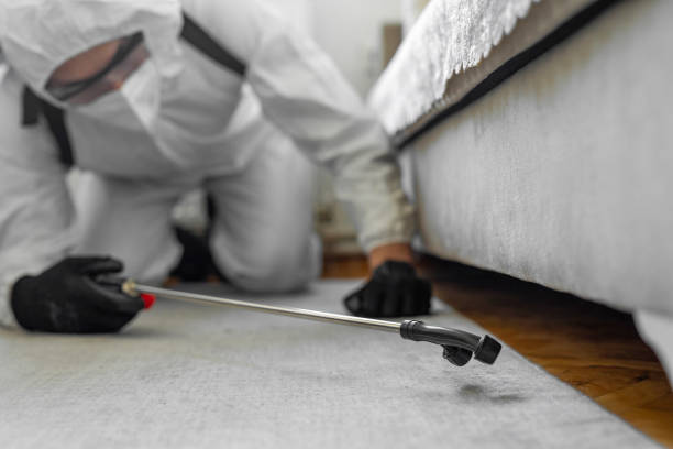 Professional Pest Control technician working in Elm Creek, NE