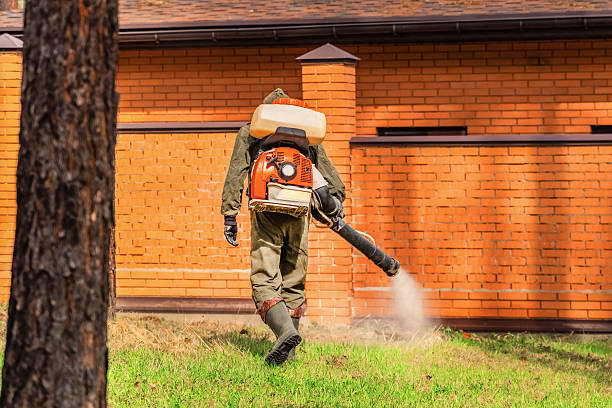 Trusted Mosquito Control service in Elm Creek, NE - Nex Pest Control